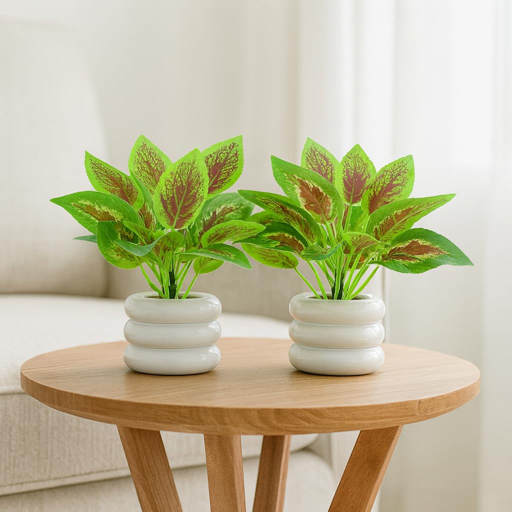 Artificial Plants for Home Décor – Green & Red Leaf Faux Plants with Fiber Plastic Pots-Pack of 2