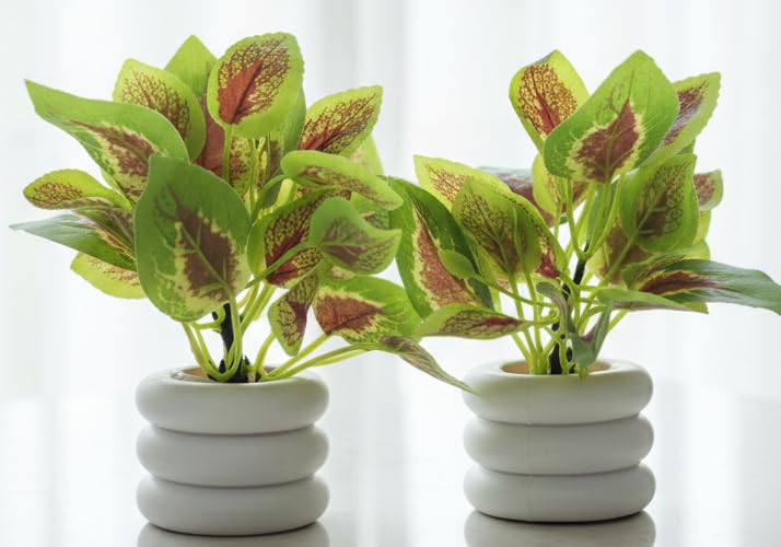 Artificial Plants for Home Décor – Green & Red Leaf Faux Plants with Fiber Plastic Pots-Pack of 2